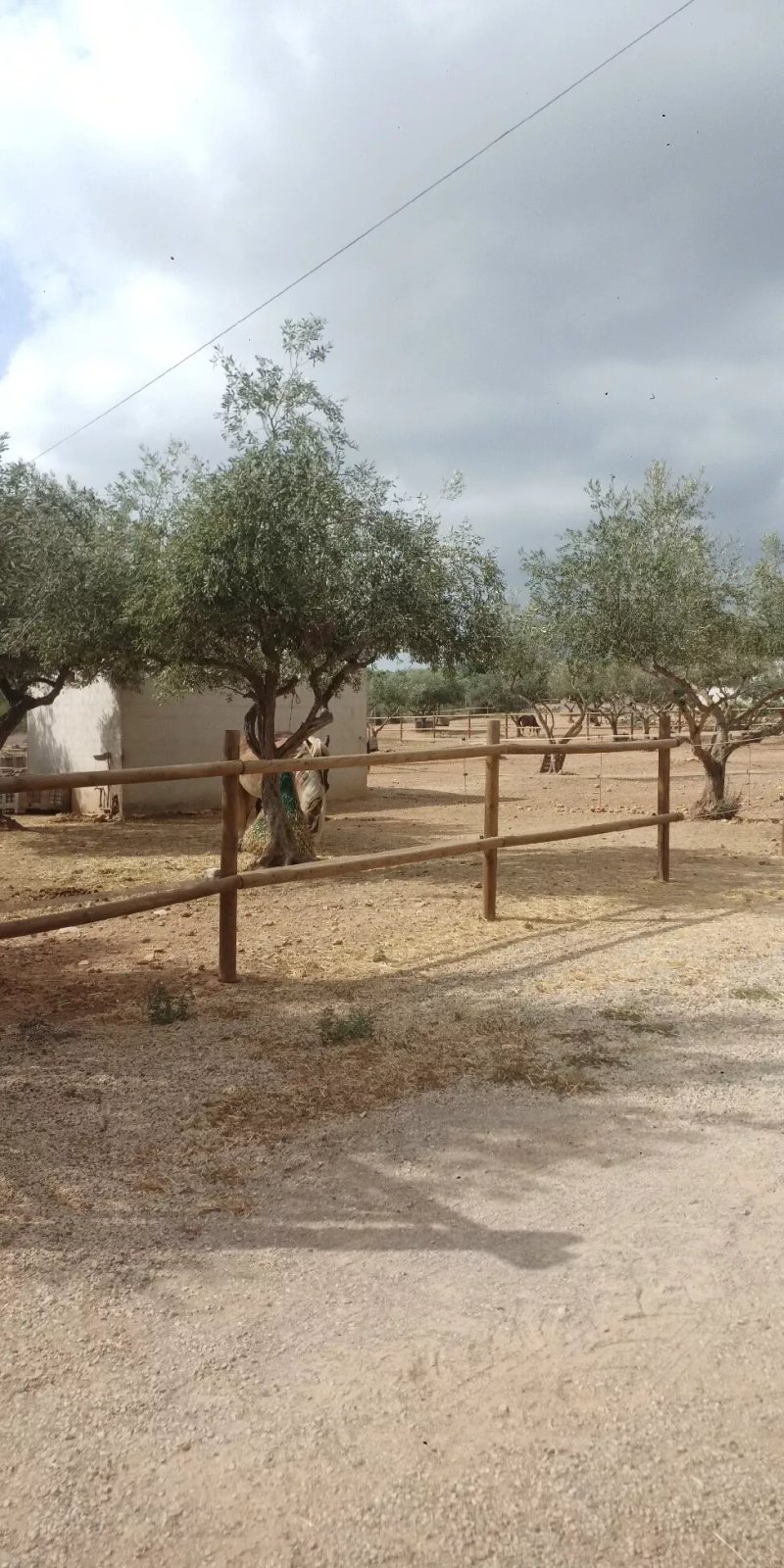 Equi-lliure