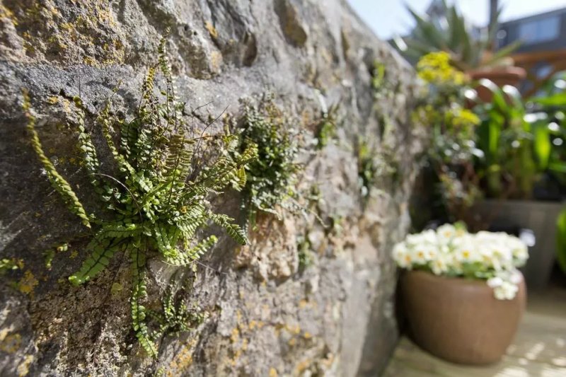 3 Porthminster B&B