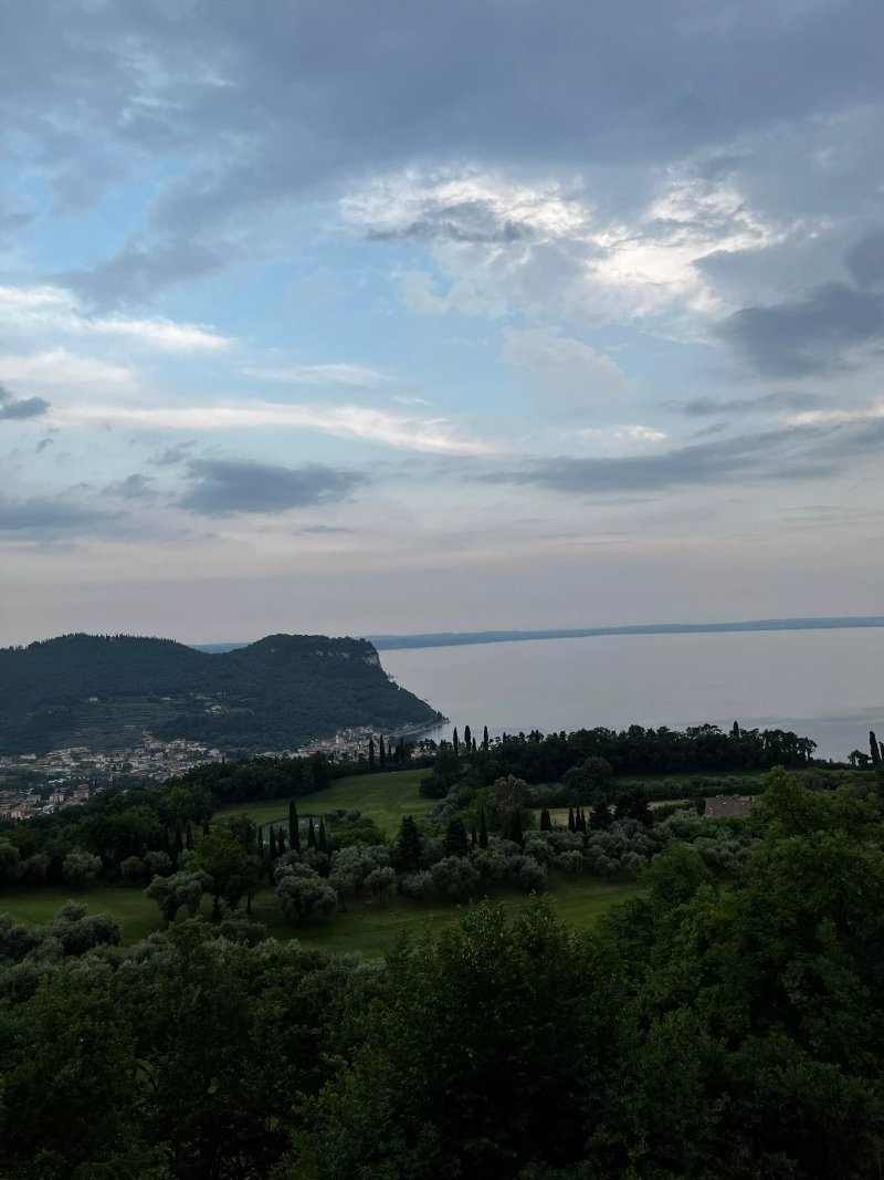 Ristorante Ca' degli Ulivi