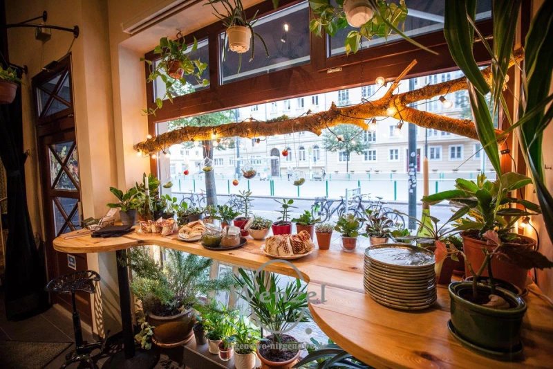 Botanica