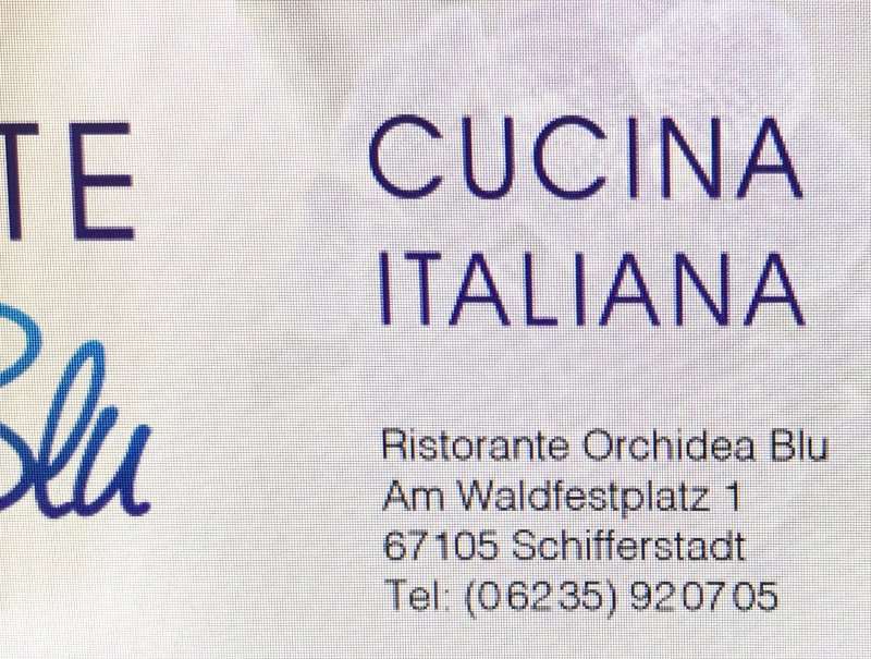 Orchidea Blu