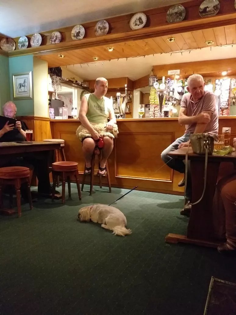 Chestnut Horse Inn pie pub