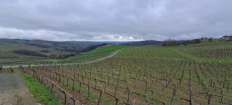 La Piotta Azienda Agricola