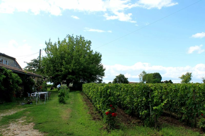 B&B Chateau Pierre De Lune