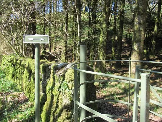 Cairnbaan Rock Art