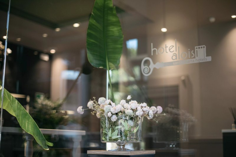 Hotel Aloisi