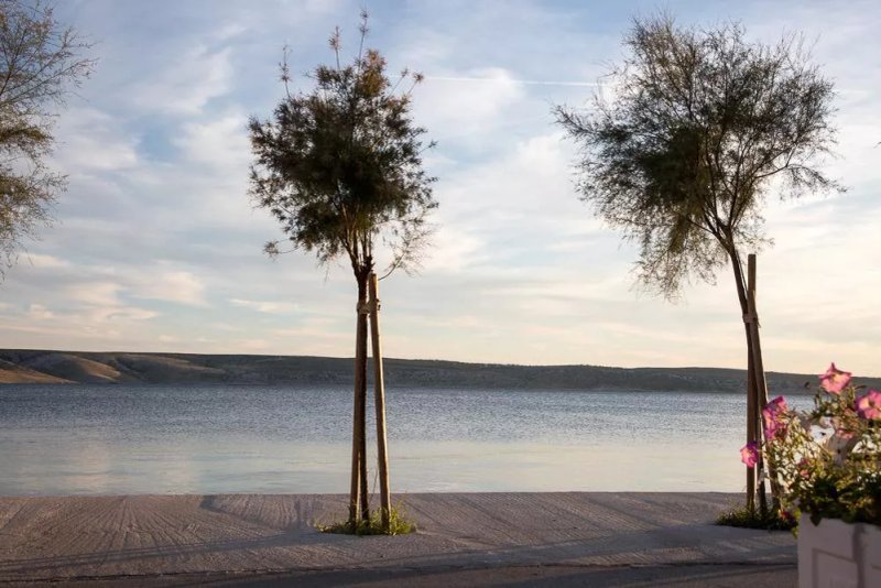 Restaurant Dalmacija