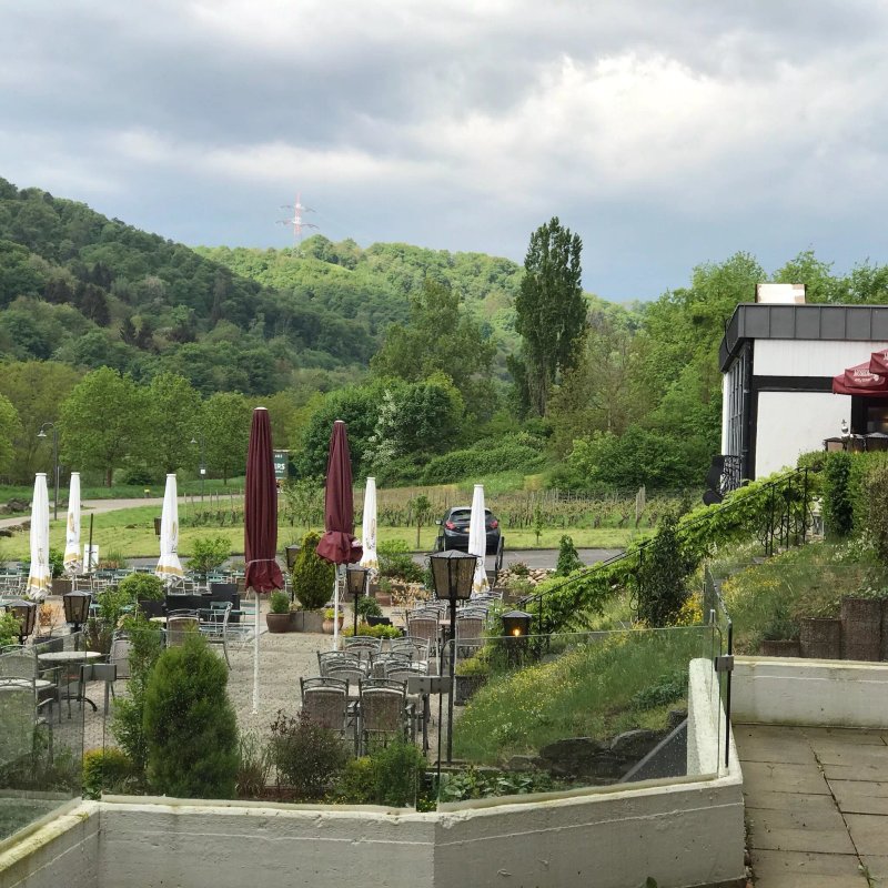 Hotel Moselblick