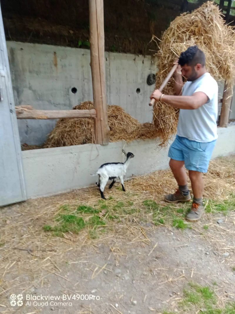 Agriturismo Fiorendo Di Piovano Fiorella