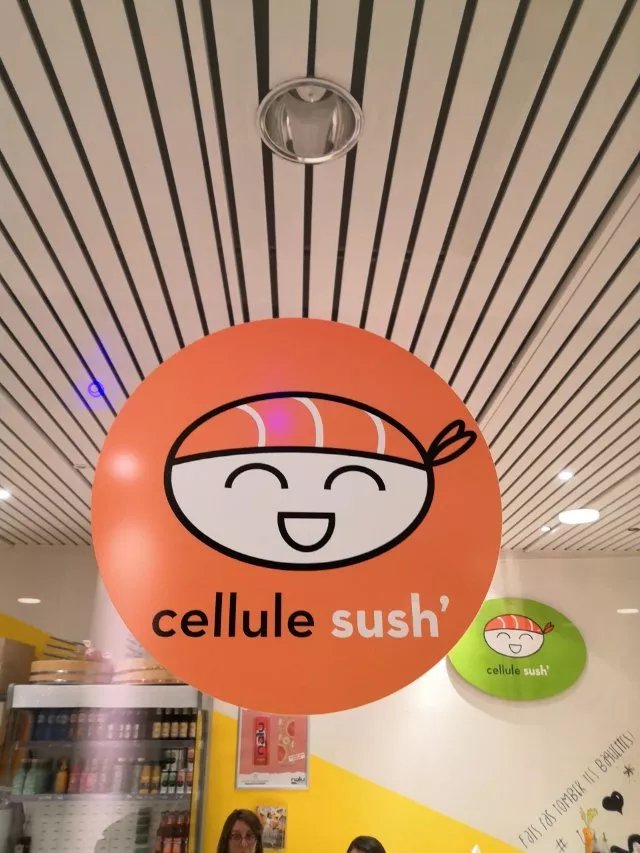 Cellule Sush'