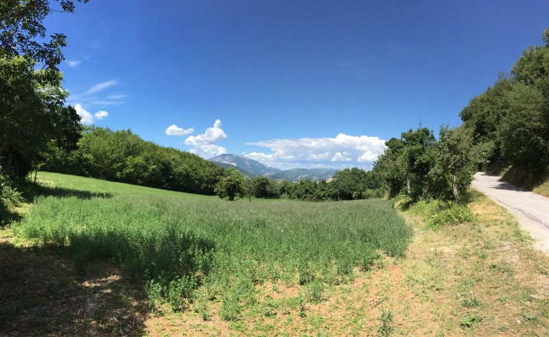 Alla locanda di Fontebella