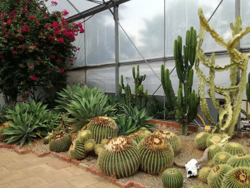 Il giardino dei tempi - orto botanico
