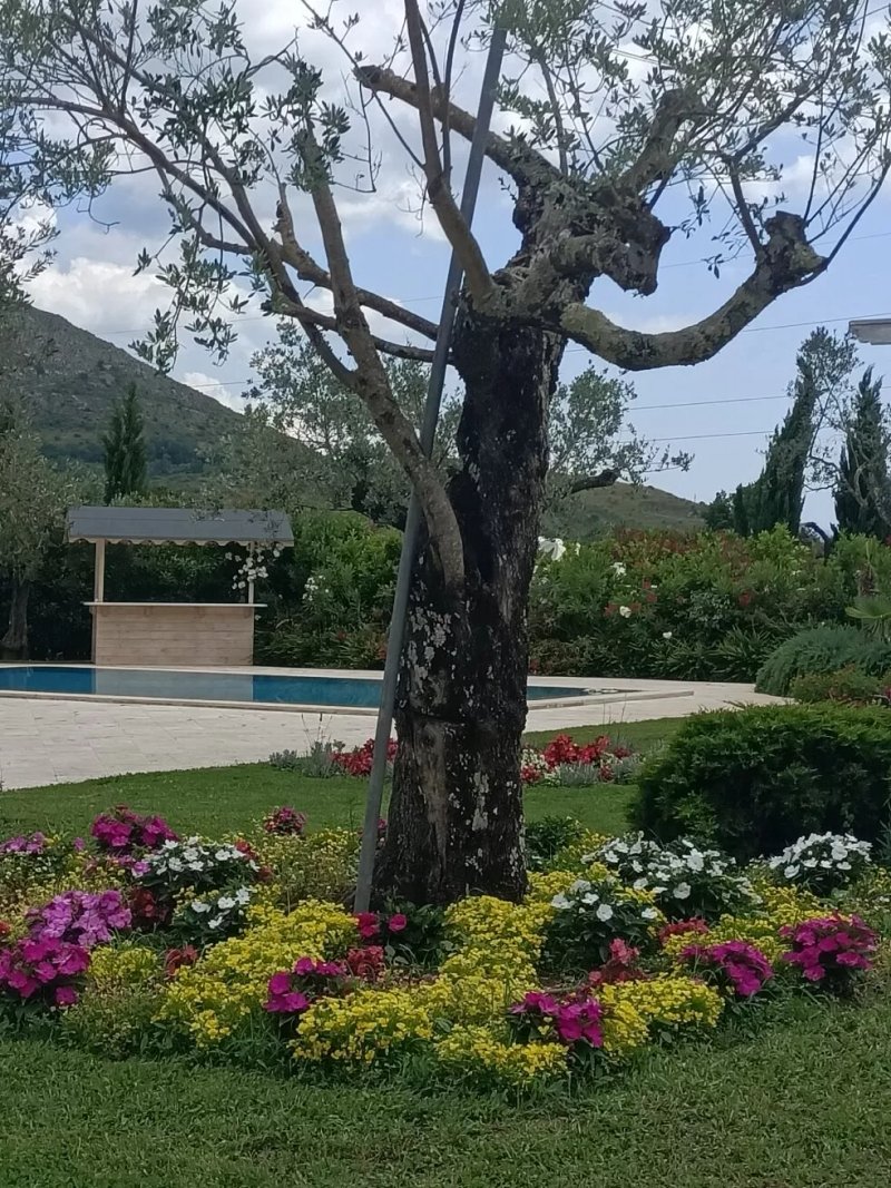 Villa Clara Events & Restaurant