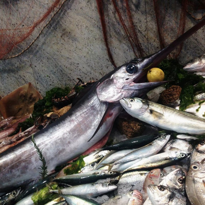 Pescheria Sant Anna Snc