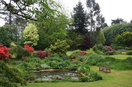 Beech Court Gardens