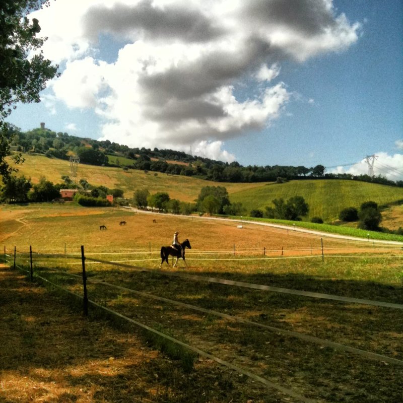 Agriturismo Casale Il Gallo Bianco