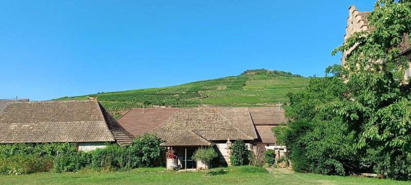 Chateau Wagenbourg