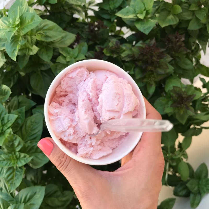 Yogo Frozen