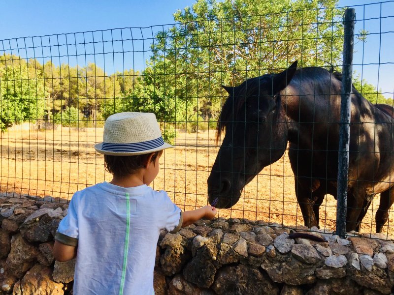 Agroturismo Es Quatre Cantons
