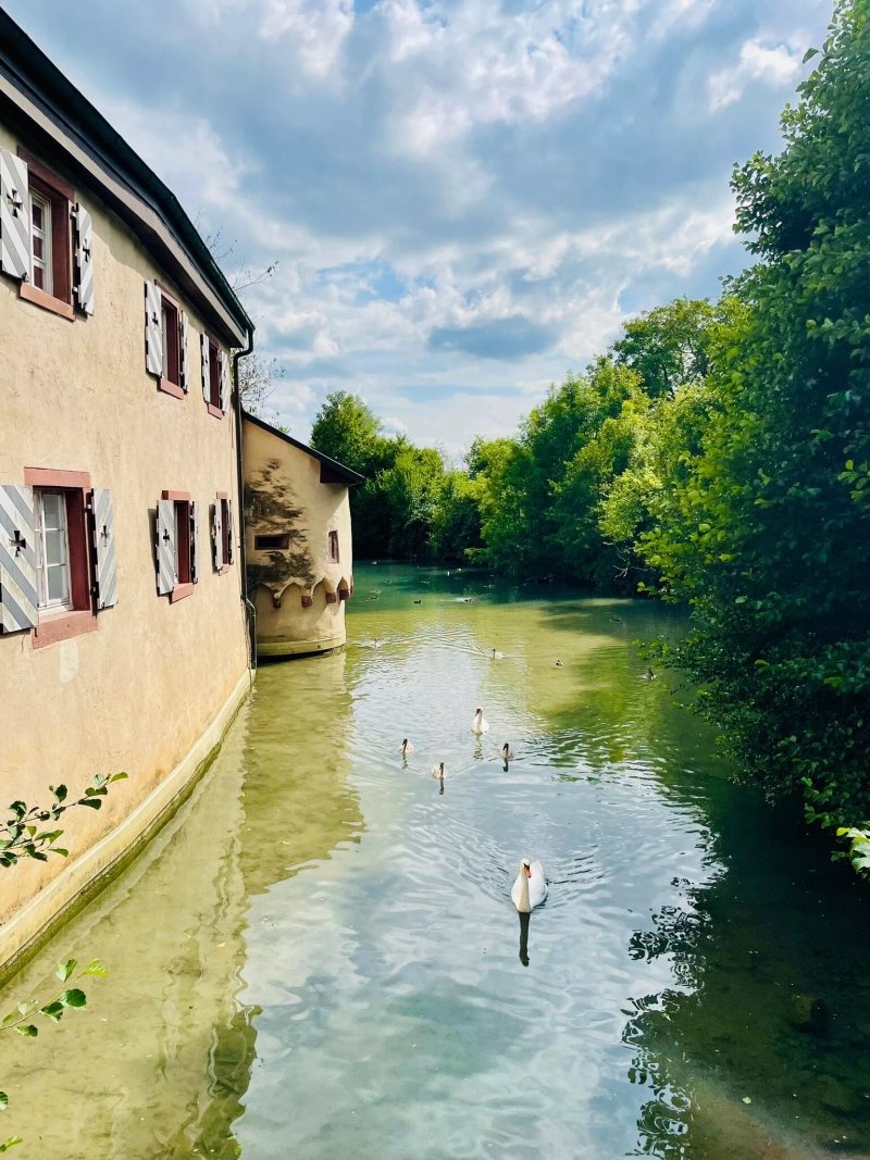 Restaurant Beuggen 1