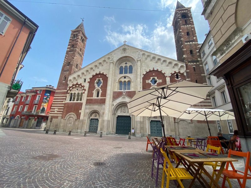 Il Pangolino