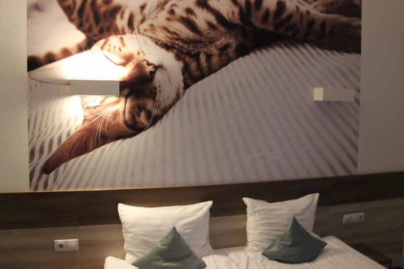 Algiro Hotel
