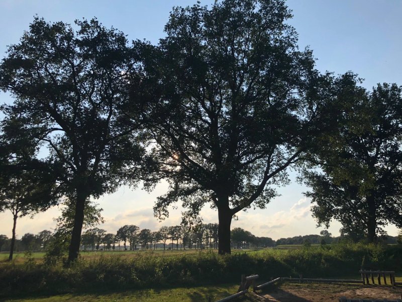 Vakantiepark Sallandshoeve