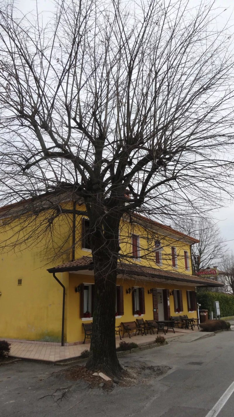 Osteria Antiche Ronche