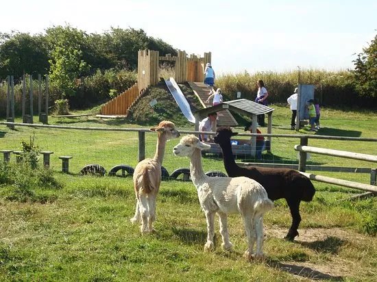 Filey Bird Garden & Animal Park