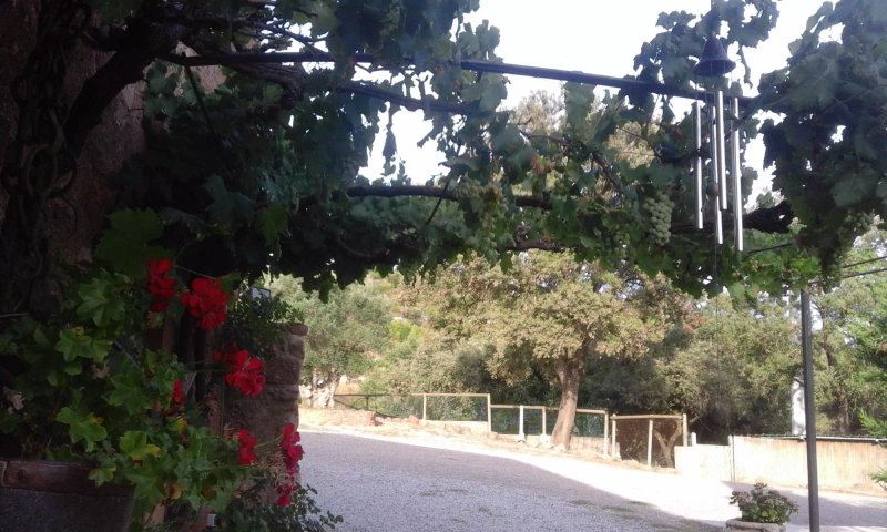 Masia Les Elies
