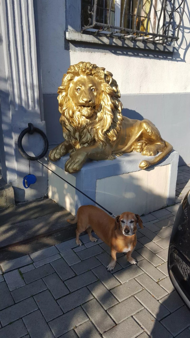 Hotel Zum Goldenen Loewen