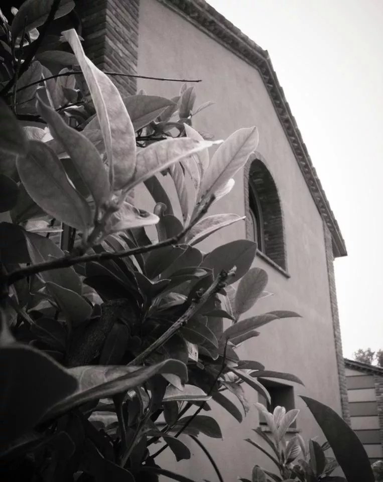 Agriturismo Bassanine