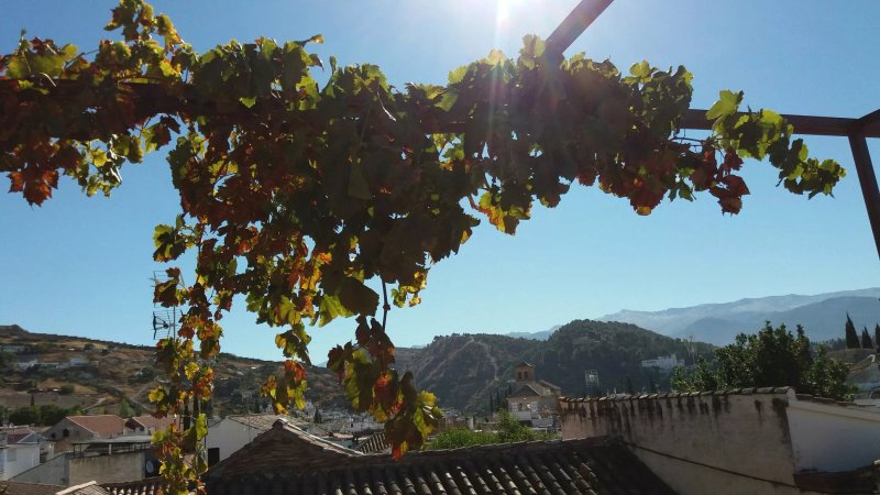 Hostal Moni Albayzin