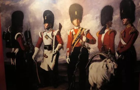 Royal Welch Fusiliers Regimental Museum