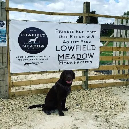 Lowfield Meadow Enclosed Dog Exercise Park