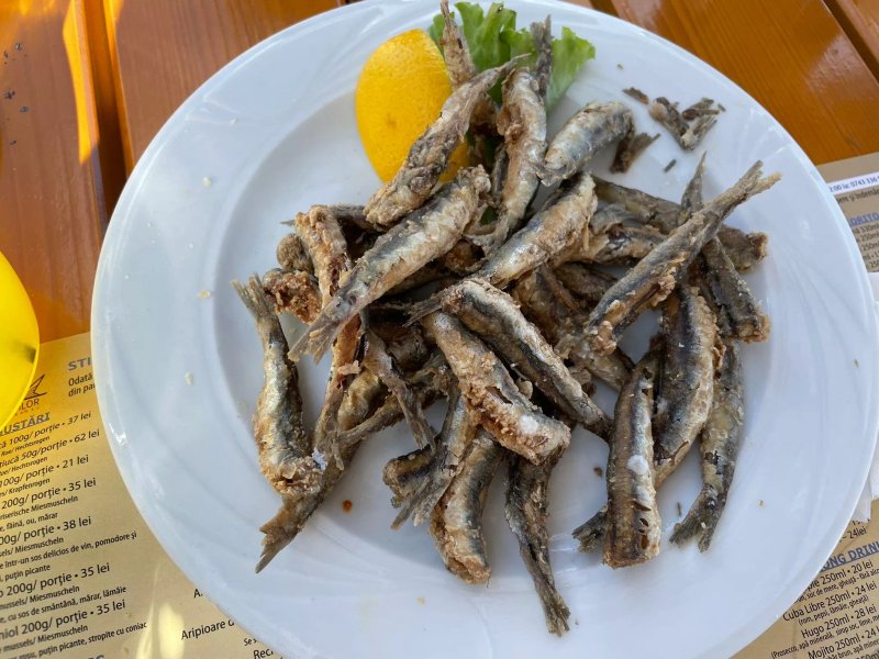 Mangalia