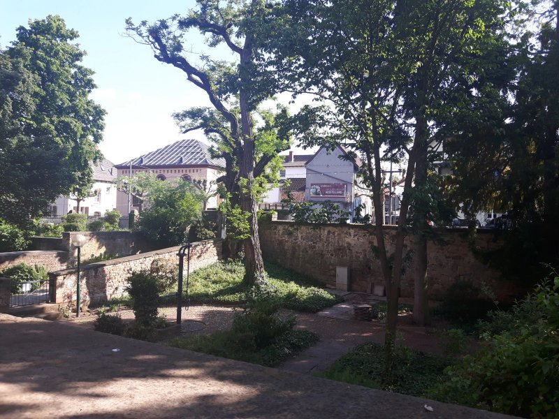 Schloss Deidesheim - Restaurant & Weinstube