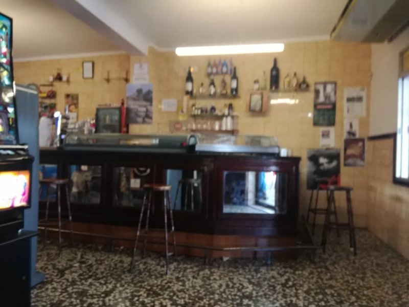Bar Oasis