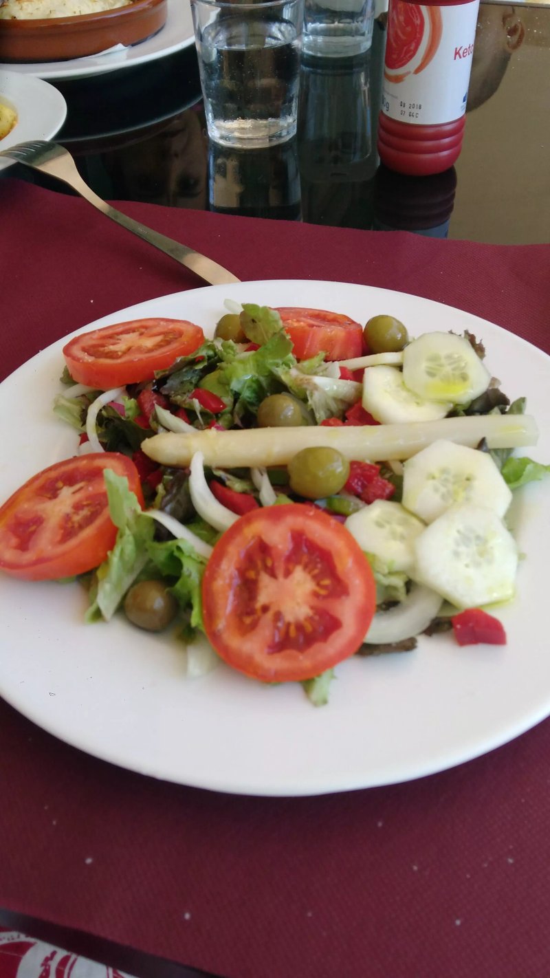 Camping Alberg Tivissa