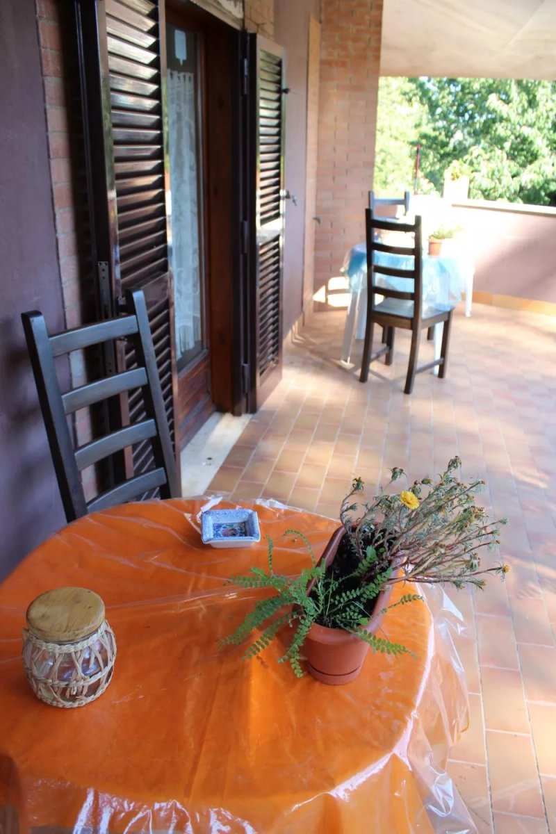 B&B Viale dei Pini