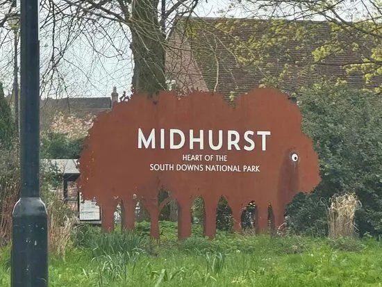 The Midhurst Buffalo