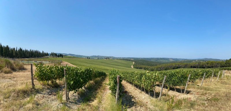 Agriturismo Poggio ai Mandorli