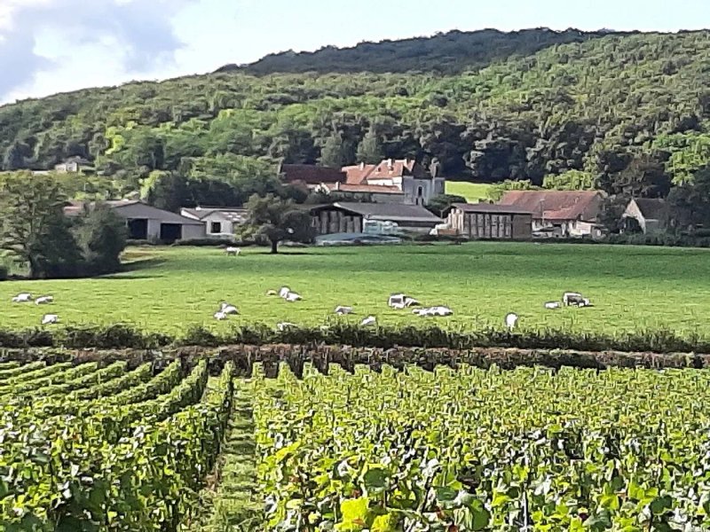 Camping Moulin de Collonge