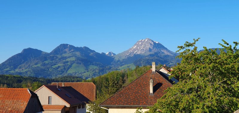 Hotel Le Gruyerien