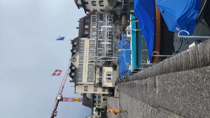 Hirschen am See