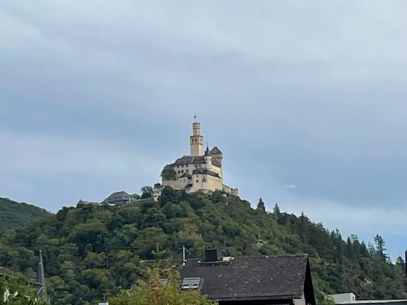 Green Camping Am Rhein