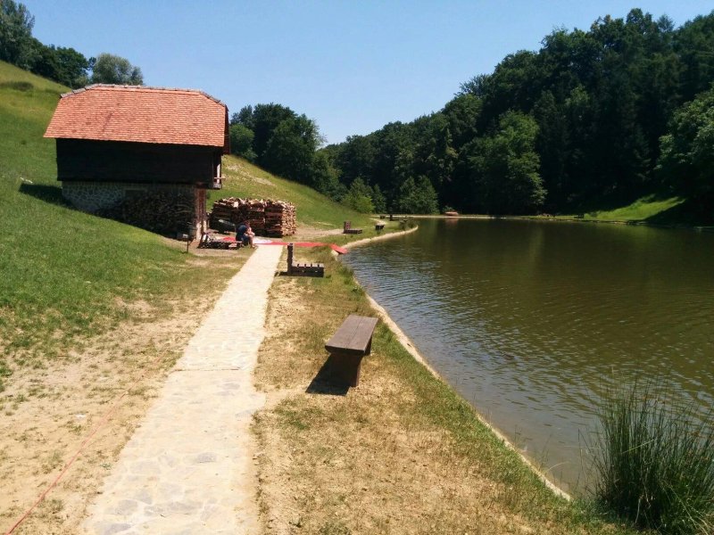 Ribicija
