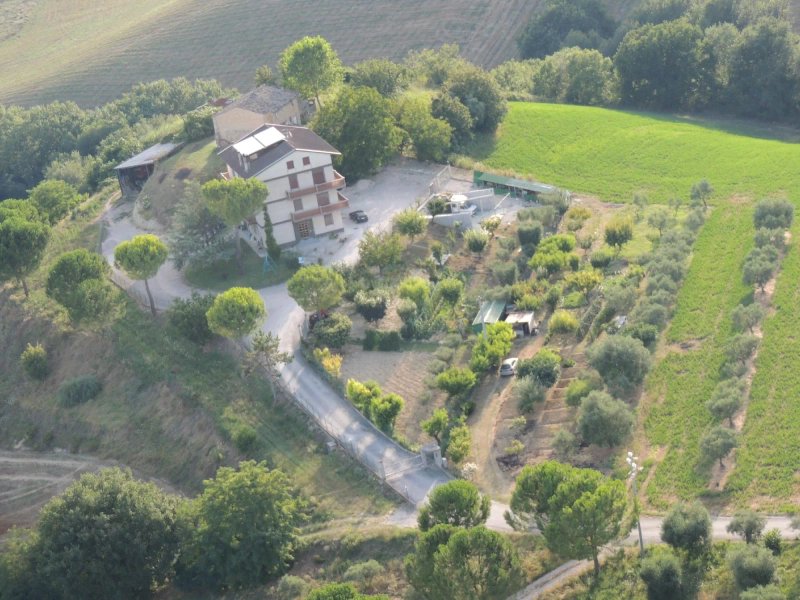 B&B The Country House