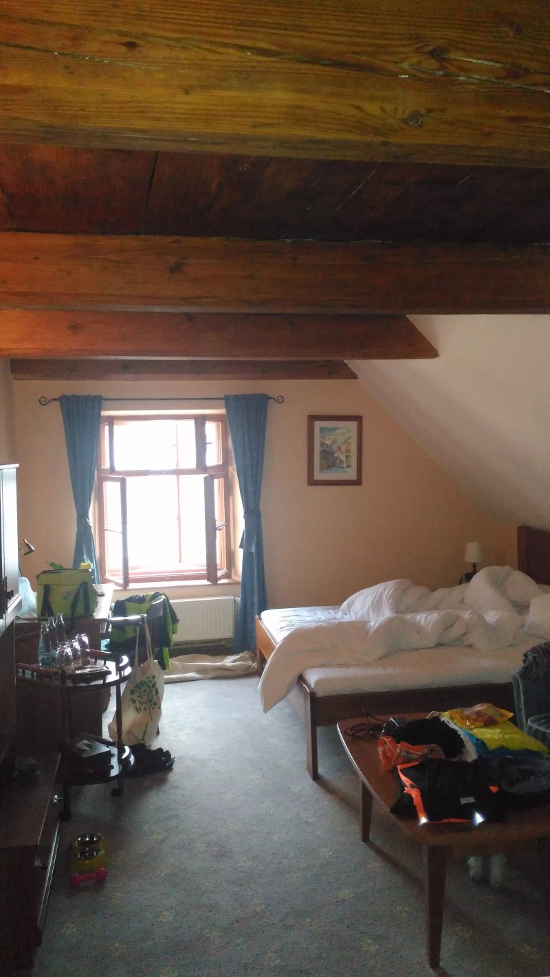 Hotel U Zlateho lva
