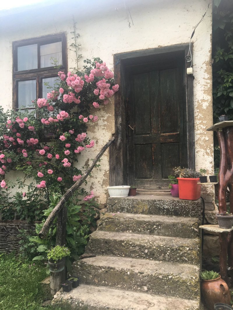 Guest House Lisinski Raj